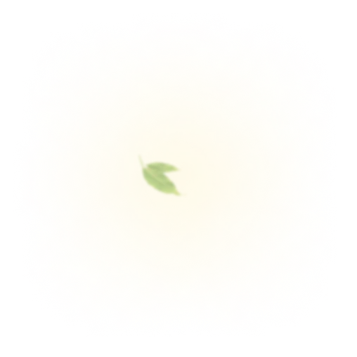 shape-5